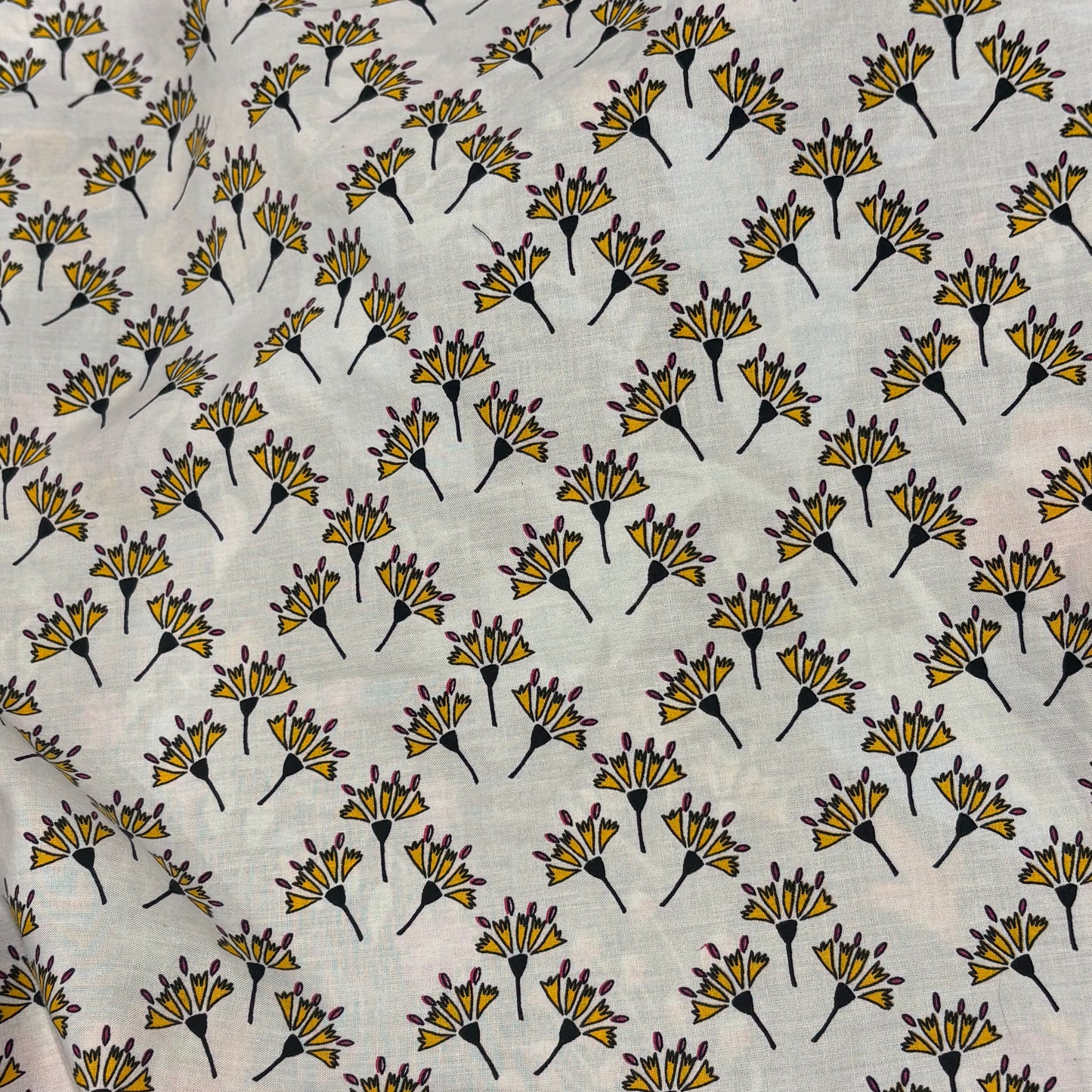 Ginkgo