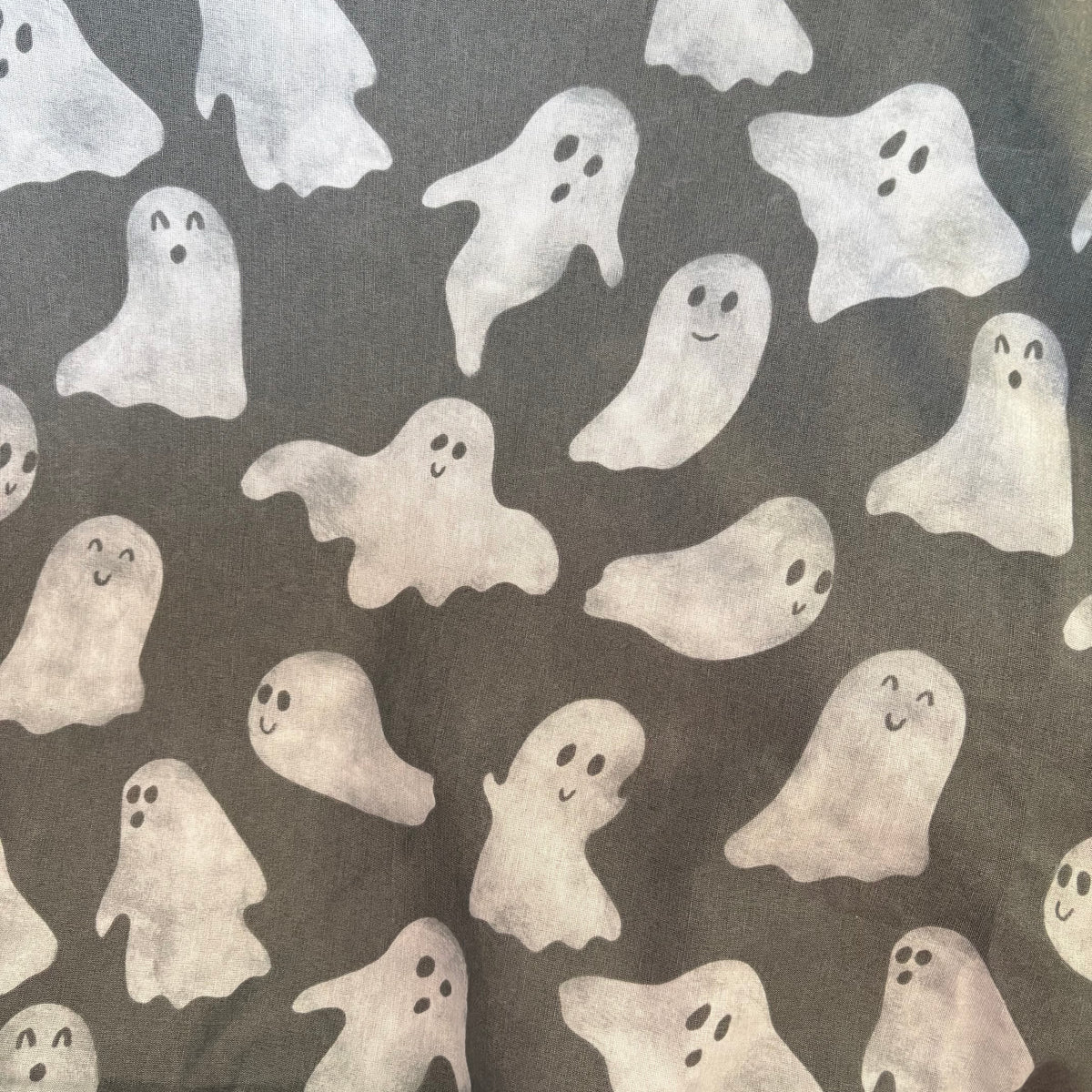 Grey Ghost