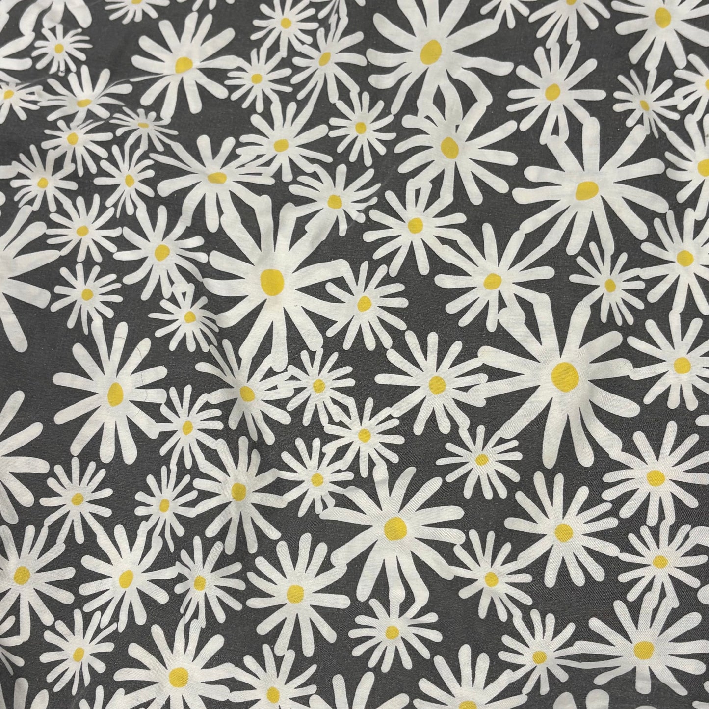 Grey Daisies