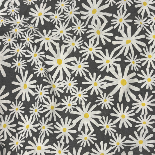 Grey Daisies